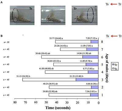 An Expanded Survey of the Moth PBP/GOBP Clade in Bombyx mori: New Insight into Expression and Functional Roles